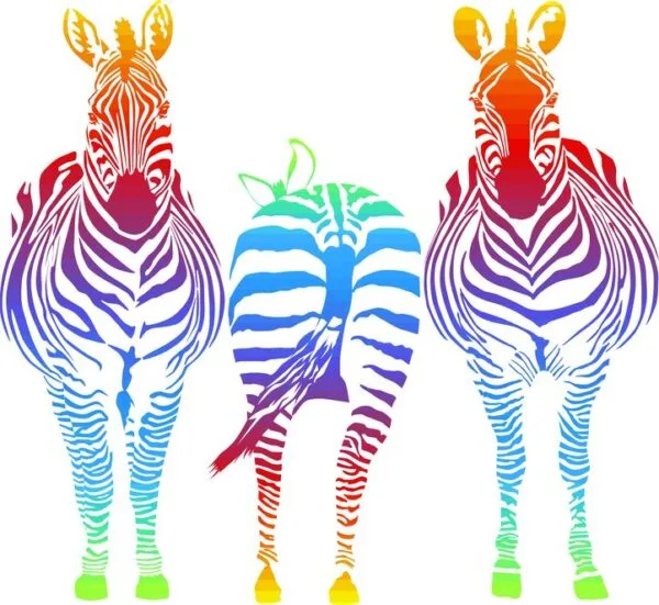 Rainbow Zebra Digitally Printed Photo Roller Blind - Image 2