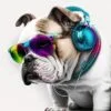 Cool Bulldog Digitally Printed Photo Roller Blind - Image 2