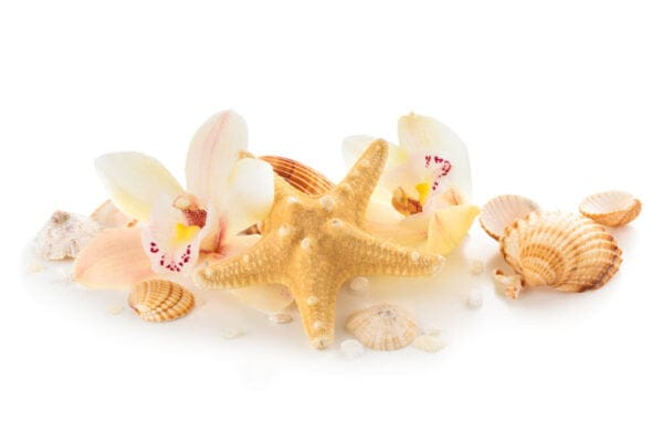 Seashells and Orchids Digitally Printed Photo Roller Blind - Image 2