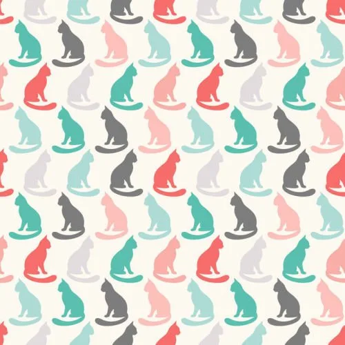 Kitty Cats Digitally Printed Photo Roller Blind - Image 2