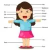Parts Of The Body Girl Digitally Printed Photo Roller Blind - Image 2