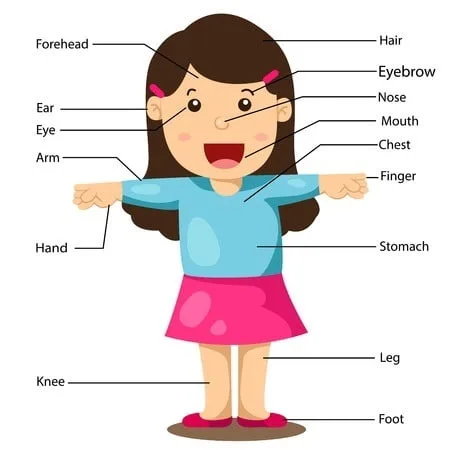 Parts Of The Body Girl Digitally Printed Photo Roller Blind - Image 2
